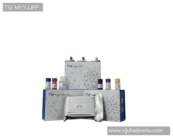 Elisa比赛-Elisa比赛，音乐与激情的碰撞-Elisa比赛